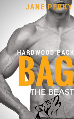 Cover of the book Bag the Beast by Amanda Pillar