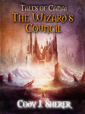 Cover of the book The Wizard's Council by Morgan Fitzsimons