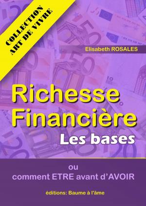 Cover of the book Richesse Financière : les bases by Nellie Jacobs