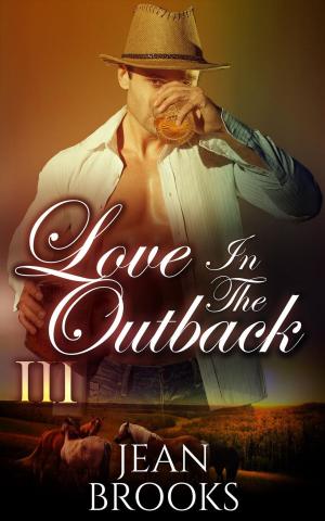 Cover of the book Love In The Outback: 3 by Felicia Rose