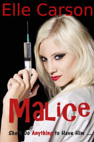 Cover of the book Malice by Sidonie Spice
