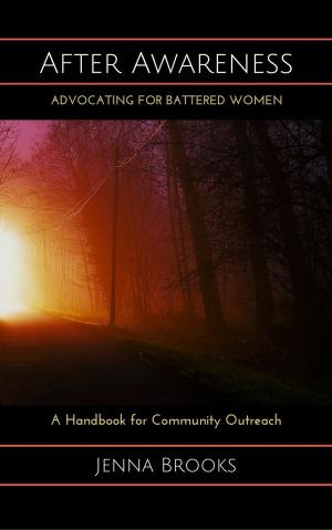 bigCover of the book After Awareness: Advocating for Battered Women by 