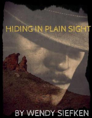 Cover of the book Hiding in Plain Sight by Joaquin Ruiz