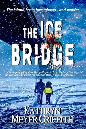 bigCover of the book The Ice Bridge by 