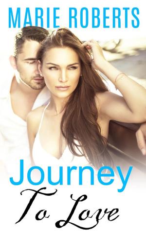 Cover of the book Journey To Love by S.L. DeHart