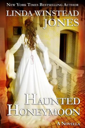 Cover of the book Haunted Honeymoon by Anne McAllister