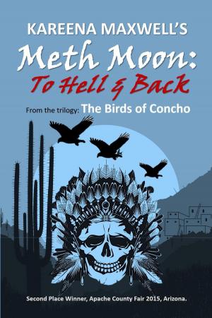 Cover of the book Meth Moon: To Hell & Back (Native American Fiction) by David J. Lovato