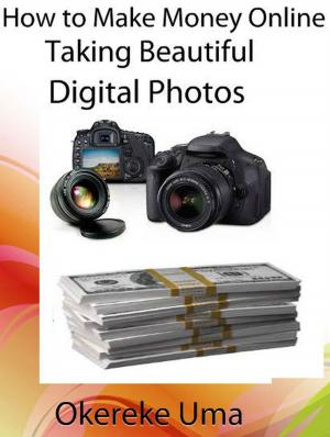 Cover of the book How to Make Money Online Taking Beautiful Digital Photos by Geoffrey Daniel