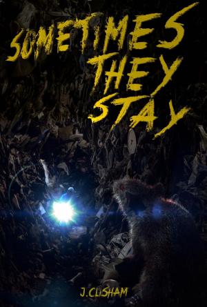 Book cover of Sometimes They Stay