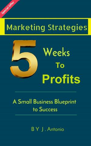 Cover of the book Marketing Strategies Five Weeks To Profits: A Small Business Blueprint to Success by Kenneth Lula