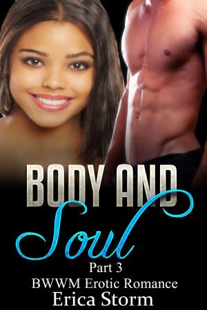 Cover of the book Body and Soul by Erica Storm