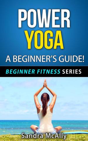 bigCover of the book Power Yoga - A Beginner's Guide by 