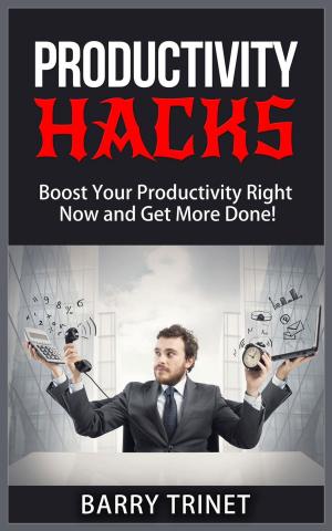 Cover of the book Productivity Hacks - Boost Your Productivity Right Now and Get More Done! by John Nanto