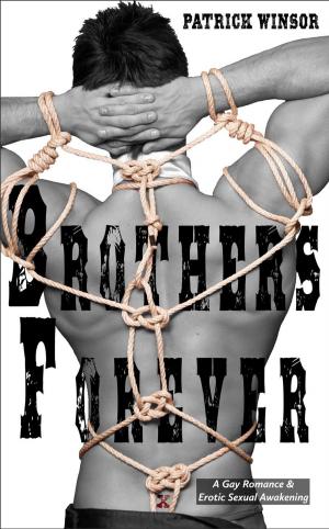 bigCover of the book Brothers Forever: A Gay Romance & Erotic Sexual Awakening by 