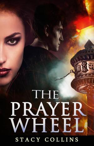 Cover of the book The Prayer Wheel by Seymour Simon