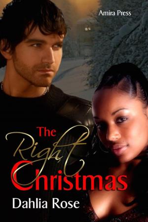 Cover of the book The Right Christmas by Veronica Schreiber