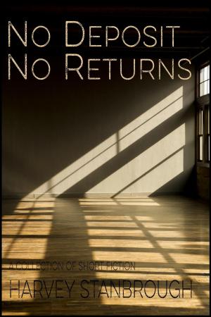 Cover of the book No Deposit No Returns by Patrick Bernauw