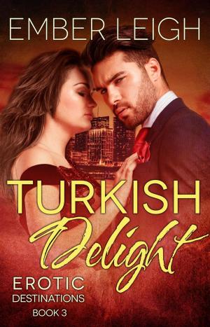 Cover of the book Turkish Delight by T.J. Christian