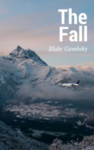 Cover of the book The Fall by Will B. Riley
