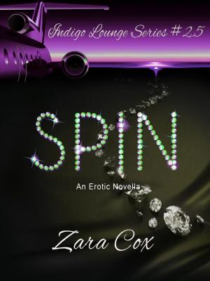 Cover of the book Spin by Tia Kelly