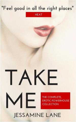 Cover of the book Take Me by D.M. Marlowe