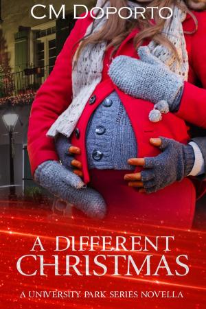Cover of the book A Different Christmas by Louisa Masters, Olivia Ventura