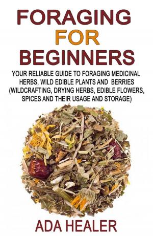 Cover of the book Foraging for Beginners by Sandi Lane