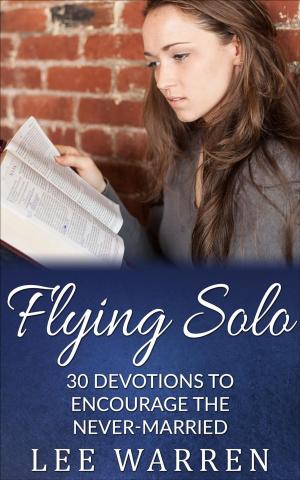 Cover of the book Flying Solo by Scripture Keys Corp.