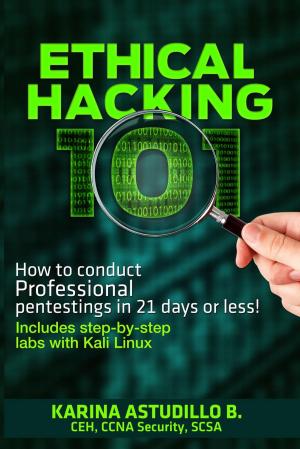 Cover of Ethical Hacking 101 - How to conduct professional pentestings in 21 days or less!