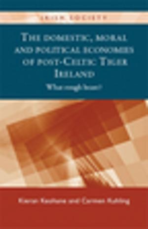 Book cover of The domestic, moral and political economies of post-Celtic Tiger Ireland