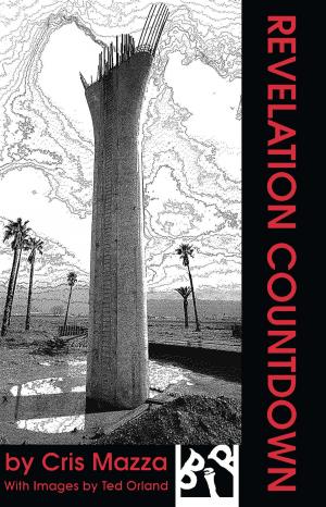 Cover of the book Revelation Countdown by Hayim Greenberg