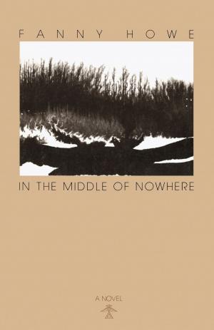 Cover of the book In the Middle of Nowhere by Jay B. Haviser, Andre Delpuech, Laurie A. Wilkie, Norman F. Barka, Lydia M. Pulsipher, Conrad Goodwin, Thomas C. Loftfield, David R. Watters