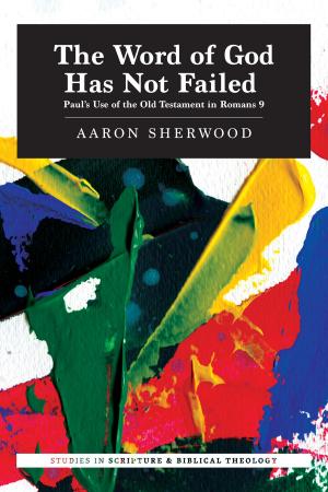 Cover of the book The Word of God Has Not Failed by Jeffrey A. Brauch