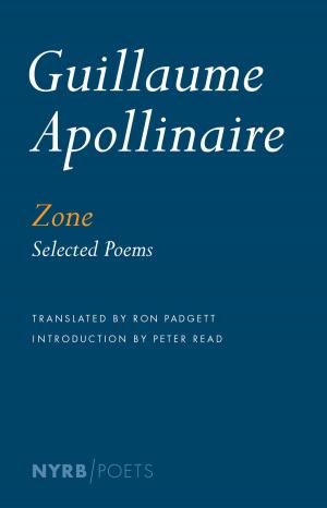 Cover of the book Zone by Simone Weil, Czeslaw Milosz