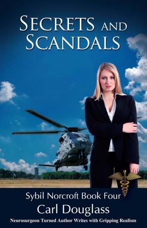 bigCover of the book Secrets and Scandals by 