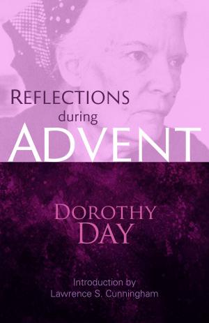 bigCover of the book Reflections during Advent by 