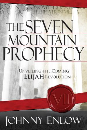 Book cover of The Seven Mountain Prophecy