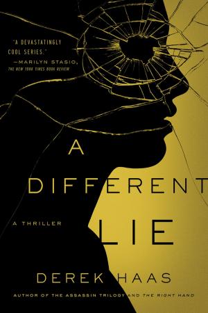 Cover of the book A Different Lie: A Novel by Abir Mukherjee