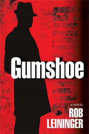 Cover of the book Gumshoe by Merry Jones