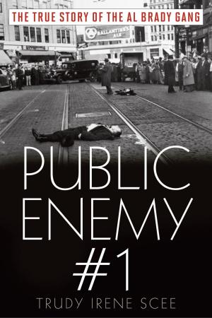 Cover of the book Public Enemy Number One by Eileen Ogintz
