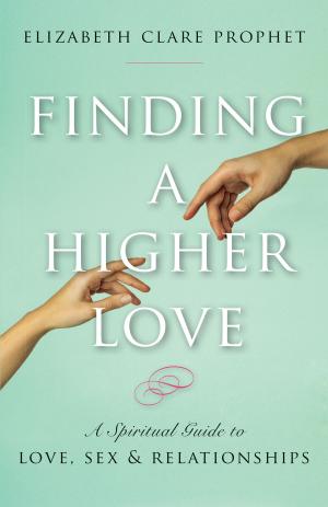 Book cover of Finding a Higher Love