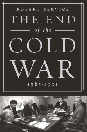 bigCover of the book The End of the Cold War: 1985-1991 by 