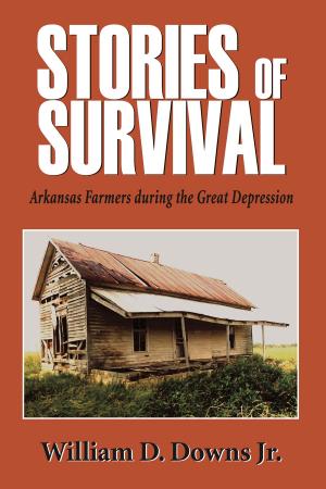 Cover of the book Stories of Survival by Julia Brock, Jennifer W. Dickey, Richard Harker, Catherine Lewis