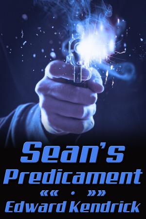 Cover of the book Sean's Predicament by Vincent Diamond