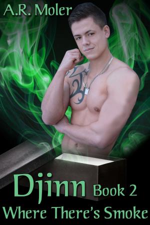 Book cover of Djinn Book 2: Where There's Smoke
