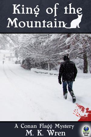 Cover of the book King of the Mountain by Barb Goffman