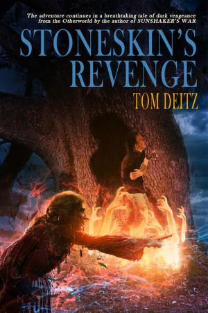 Book cover of Stoneskin's Revenge