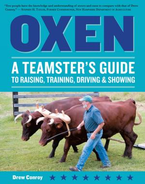 Cover of the book Oxen by Kathy Harrison