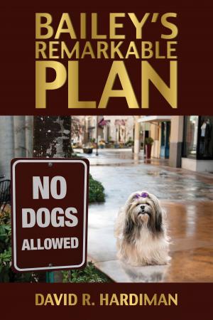 Cover of the book Bailey's Remarkable Plan by Kristin S. Kaufman