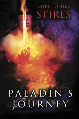 Cover of the book Paladin's Journey by Wendy Dager